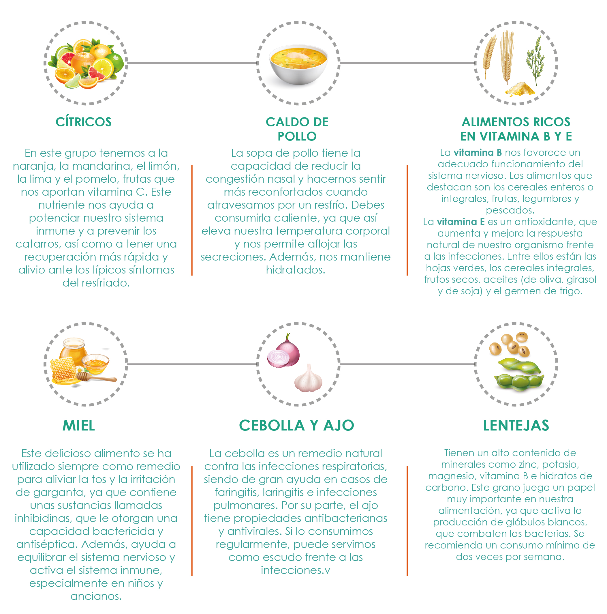 Alimentos para fortalecer nuestro sistema inmunológico