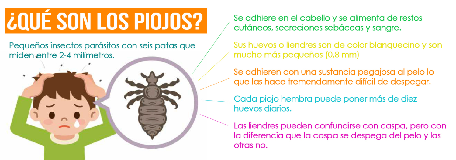 Prevención de los piojos en la etapa escolar